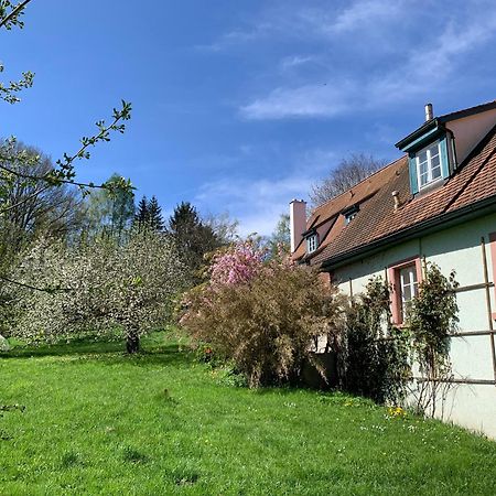 Ferienwohnung In Historischer Muehle Buchen  Exteriér fotografie