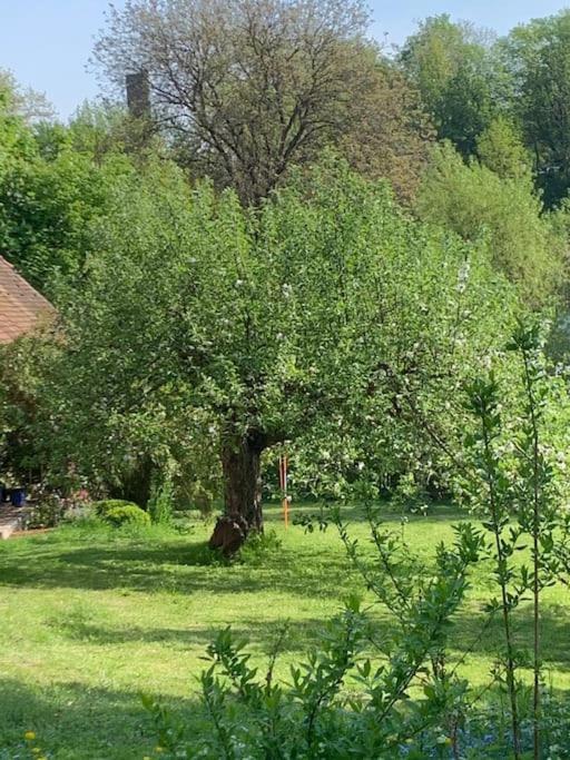 Ferienwohnung In Historischer Muehle Buchen  Exteriér fotografie
